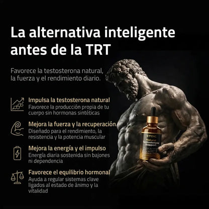Natural Testosterone Support Complex